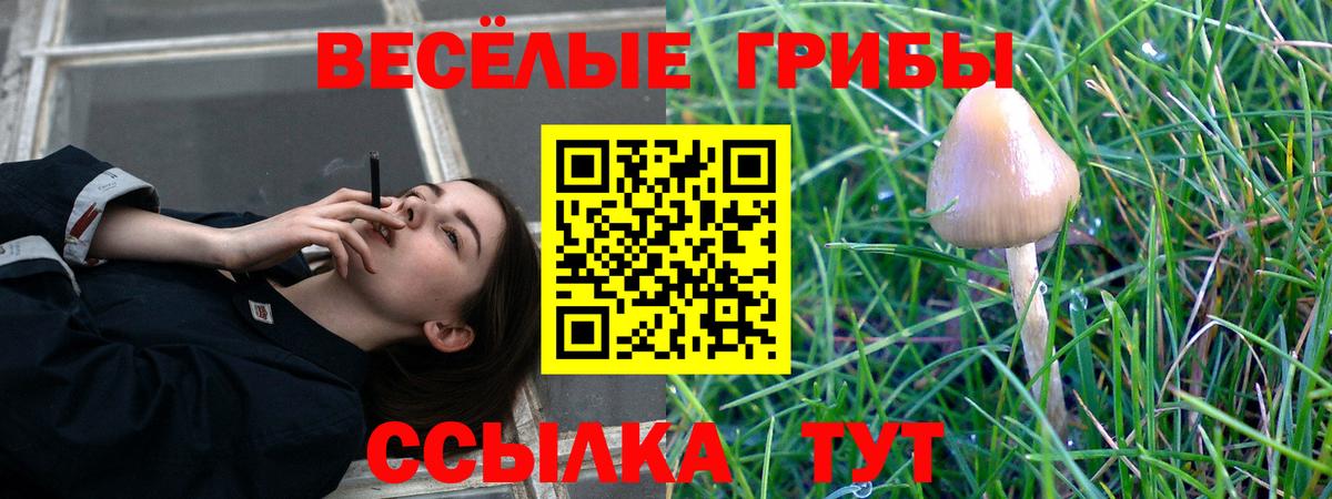 Псилоцибиновые грибы Magic Shrooms  Вход с VPN  Новочебоксарск 
